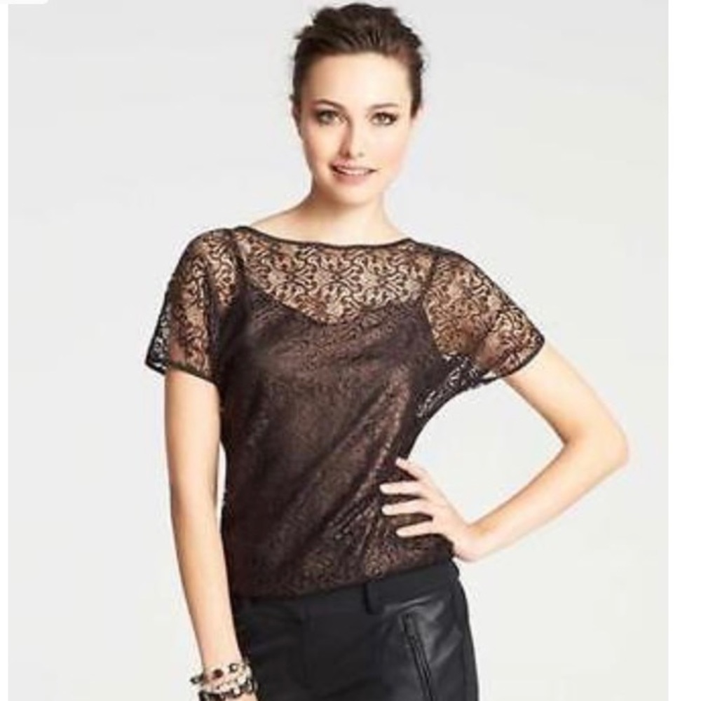 NWT Ann Taylor Bronze Lace & Black Cami, S.Petite